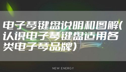 电子琴键盘说明和图解(认识电子琴键盘适用各类电子琴品牌)