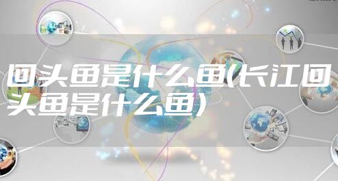回头鱼是什么鱼（长江回头鱼是什么鱼）