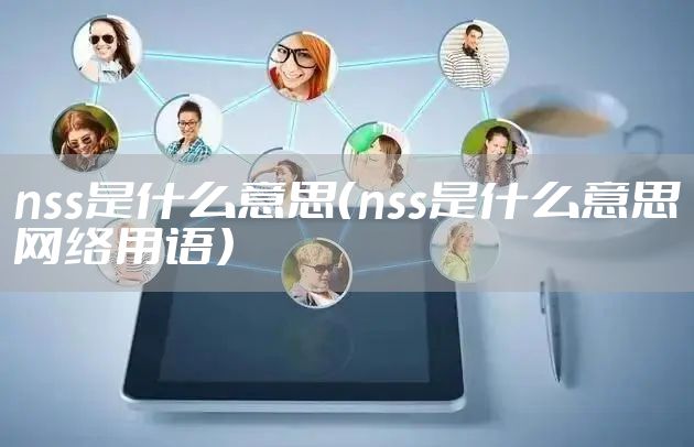 nss是什么意思（nss是什么意思网络用语）