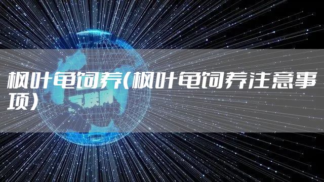 枫叶龟饲养（枫叶龟饲养注意事项）