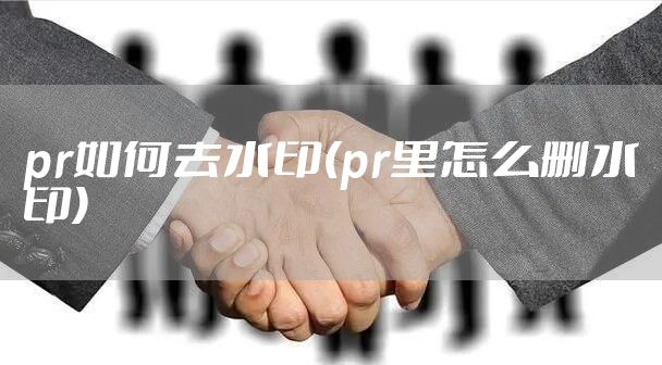 pr如何去水印(pr里怎么删水印)