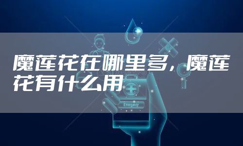 魔莲花在哪里多,魔莲花有什么用