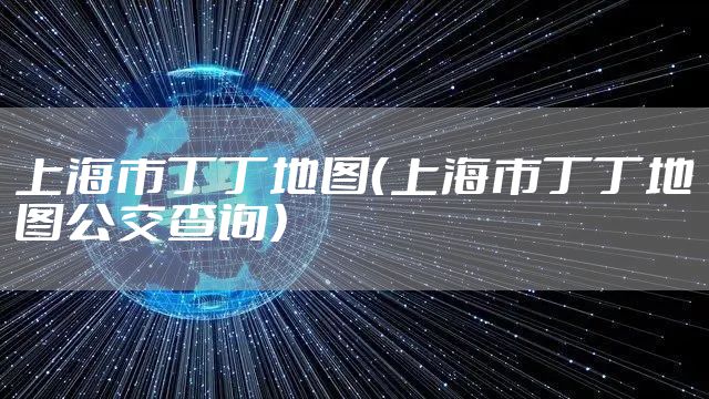 上海市丁丁地图（上海市丁丁地图公交查询）