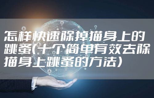 怎样快速除掉猫身上的跳蚤(十个简单有效去除猫身上跳蚤的方法)