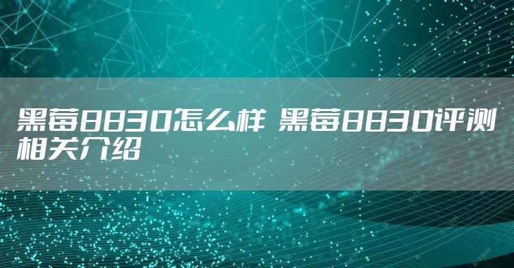黑莓8830怎么样  黑莓8830评测相关介绍