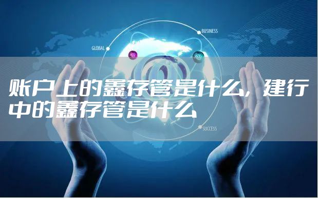 账户上的鑫存管是什么，建行中的鑫存管是什么