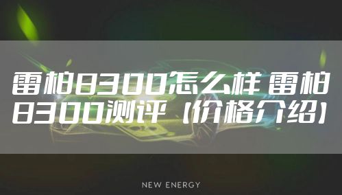 雷柏8300怎么样 雷柏8300测评【价格介绍】