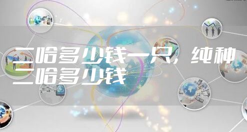 二哈多少钱一只,纯种二哈多少钱