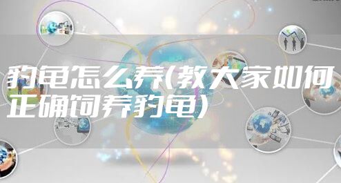 豹龟怎么养（教大家如何正确饲养豹龟）