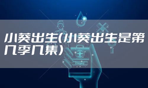 小葵出生(小葵出生是第几季几集)