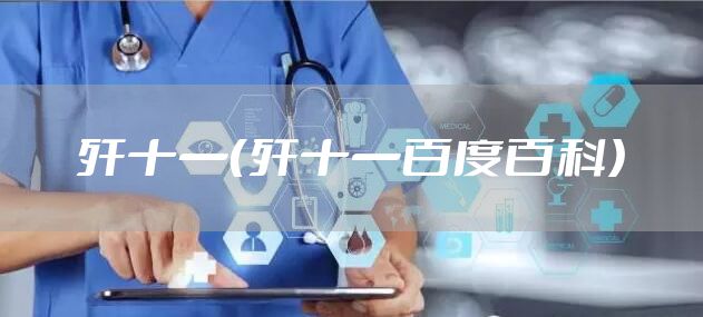 歼十一（歼十一百度百科）