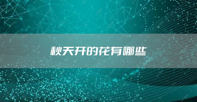 秋天开的花有哪些