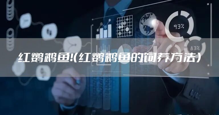 红鹦鹉鱼！（红鹦鹉鱼的饲养方法）