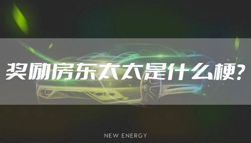 奖励房东太太是什么梗？