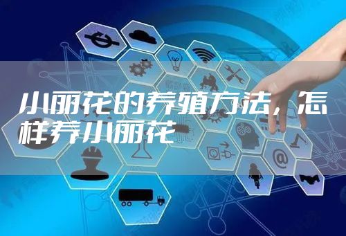 小丽花的养殖方法,怎样养小丽花