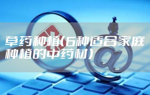 草药种植(6种适合家庭种植的中药材)
