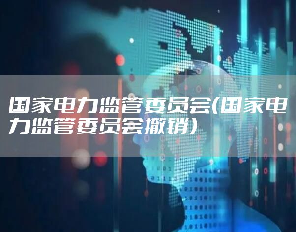 国家电力监管委员会（国家电力监管委员会撤销）