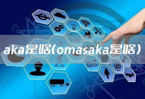 aka是啥（omasaka是啥）