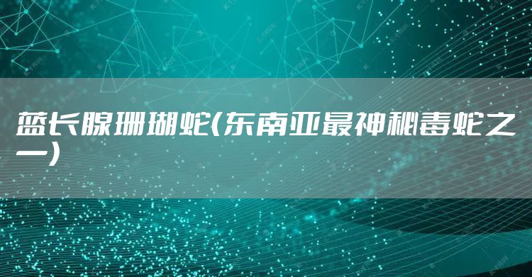 蓝长腺珊瑚蛇（东南亚最神秘毒蛇之一）