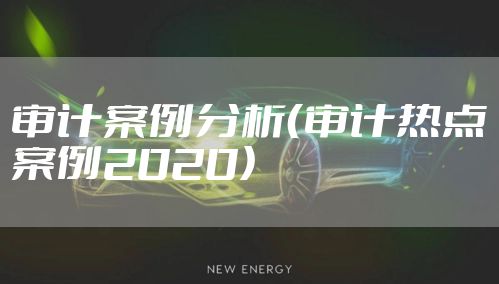 审计案例分析（审计热点案例2020）