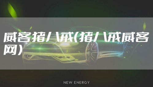 威客猪八戒（猪八戒威客网）