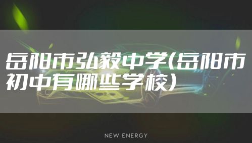 岳阳市弘毅中学（岳阳市初中有哪些学校）