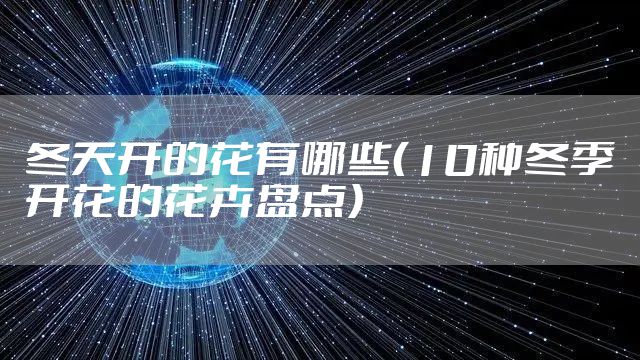 冬天开的花有哪些（10种冬季开花的花卉盘点）