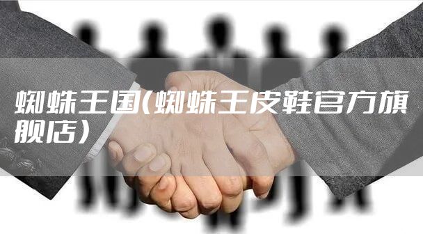 蜘蛛王国（蜘蛛王皮鞋官方旗舰店）