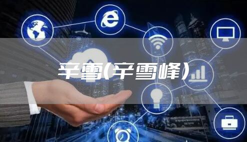 辛雪（辛雪峰）