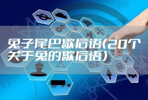 兔子尾巴歇后语（20个关于兔的歇后语）