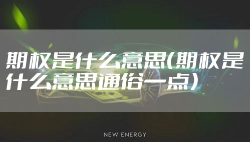 期权是什么意思（期权是什么意思通俗一点）