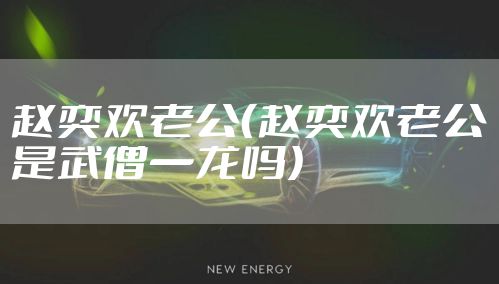 赵奕欢老公（赵奕欢老公是武僧一龙吗）