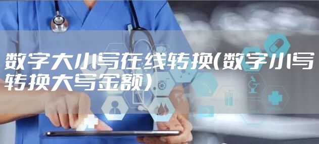 数字大小写在线转换（数字小写转换大写金额）