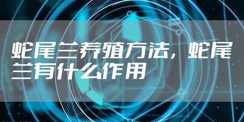 蛇尾兰养殖方法，蛇尾兰有什么作用