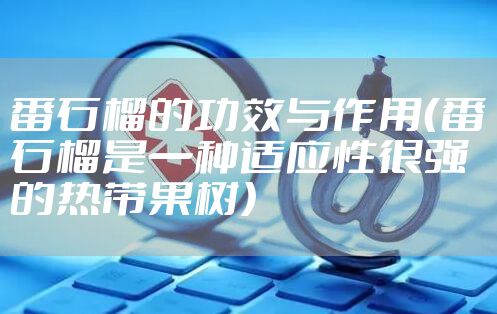 番石榴的功效与作用(番石榴是一种适应性很强的热带果树)