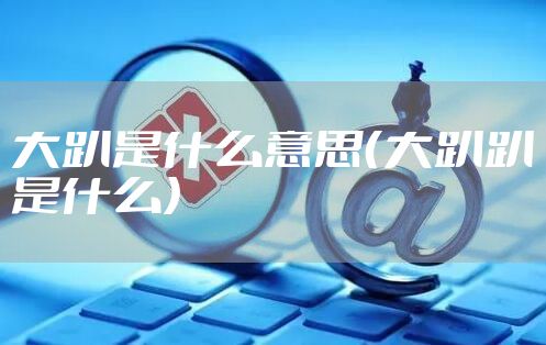 大趴是什么意思(大趴趴是什么)