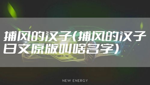 捕风的汉子（捕风的汉子日文原版叫啥名字）