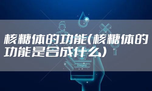 核糖体的功能（核糖体的功能是合成什么）