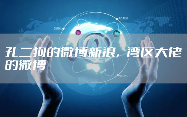 孔二狗的微博新浪，湾区大佬的微博