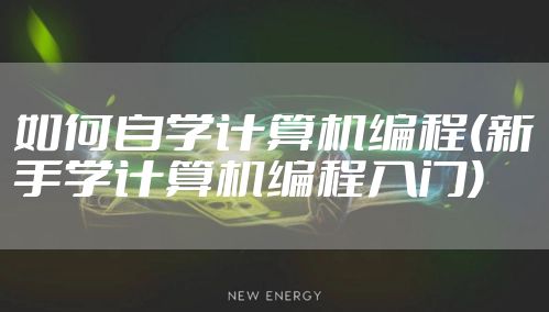 如何自学计算机编程(新手学计算机编程入门)