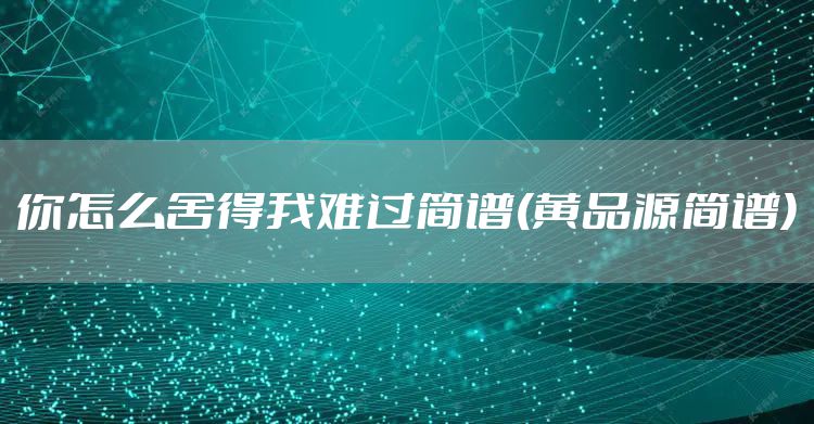 你怎么舍得我难过简谱(黄品源简谱)