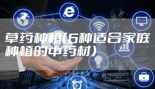草药种植（6种适合家庭种植的中药材）
