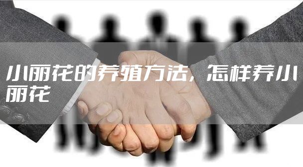 小丽花的养殖方法，怎样养小丽花
