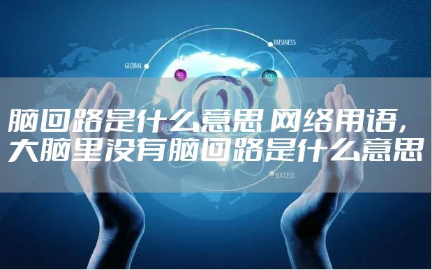 脑回路是什么意思 网络用语,大脑里没有脑回路是什么意思