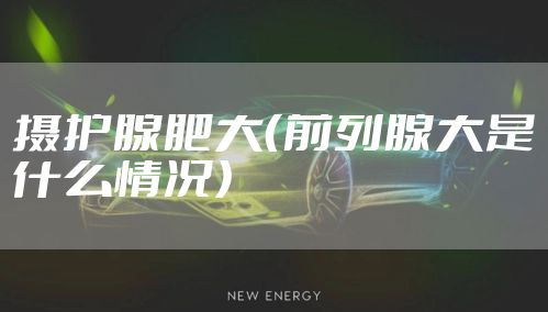 摄护腺肥大（前列腺大是什么情况）