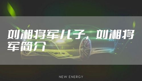 刘湘将军儿子,刘湘将军简介