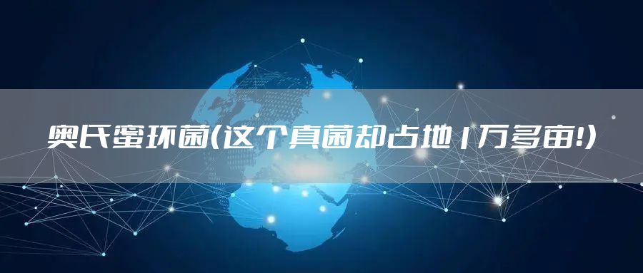 奥氏蜜环菌(这个真菌却占地1万多亩!)