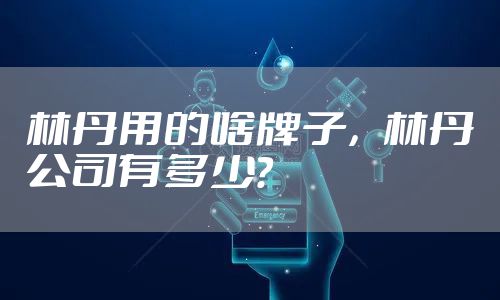 林丹用的啥牌子，林丹公司有多少?