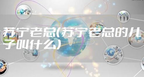 苏宁老总（苏宁老总的儿子叫什么）