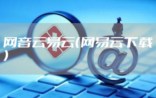 网音云易云(网易云下载)